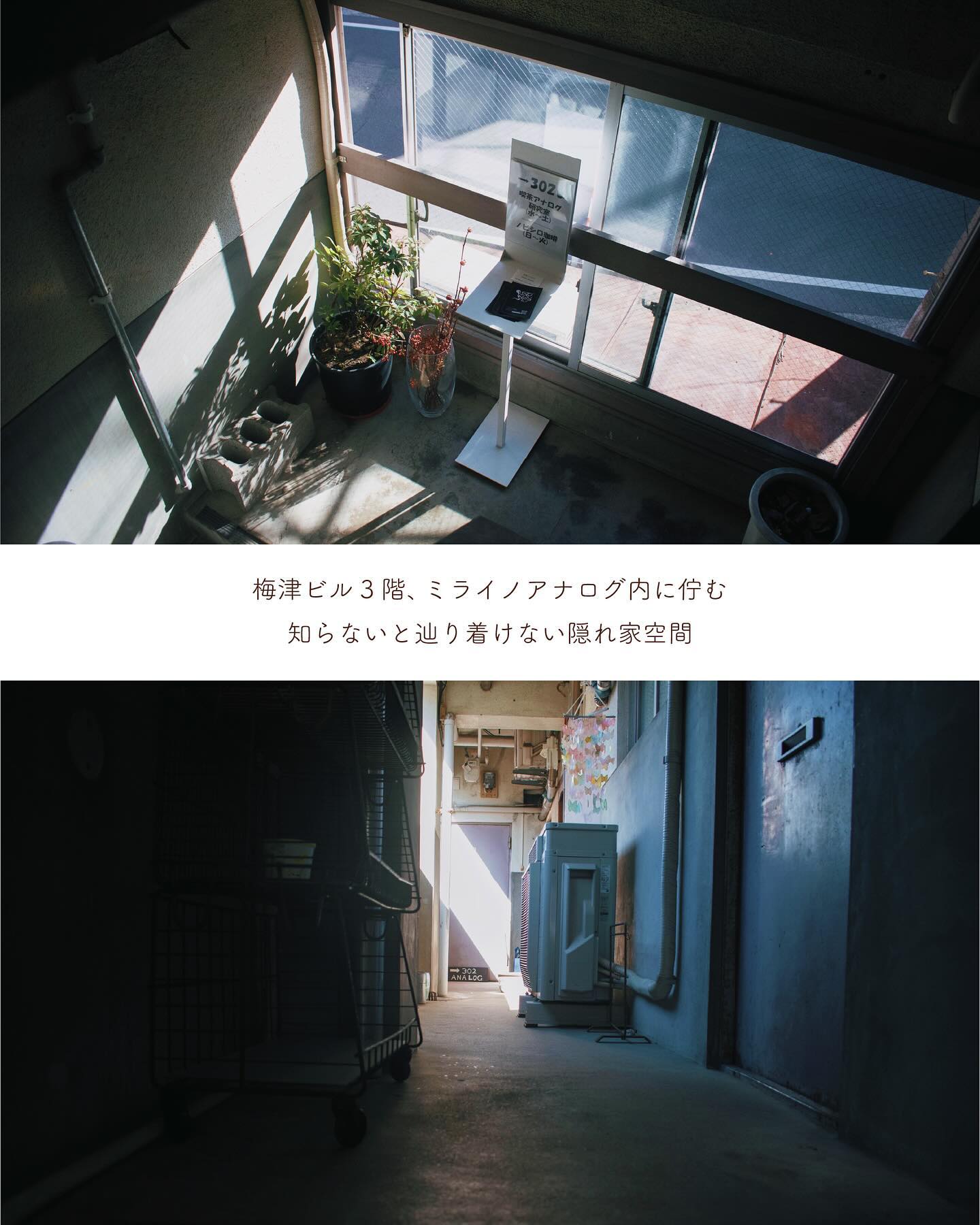 投稿画像 4