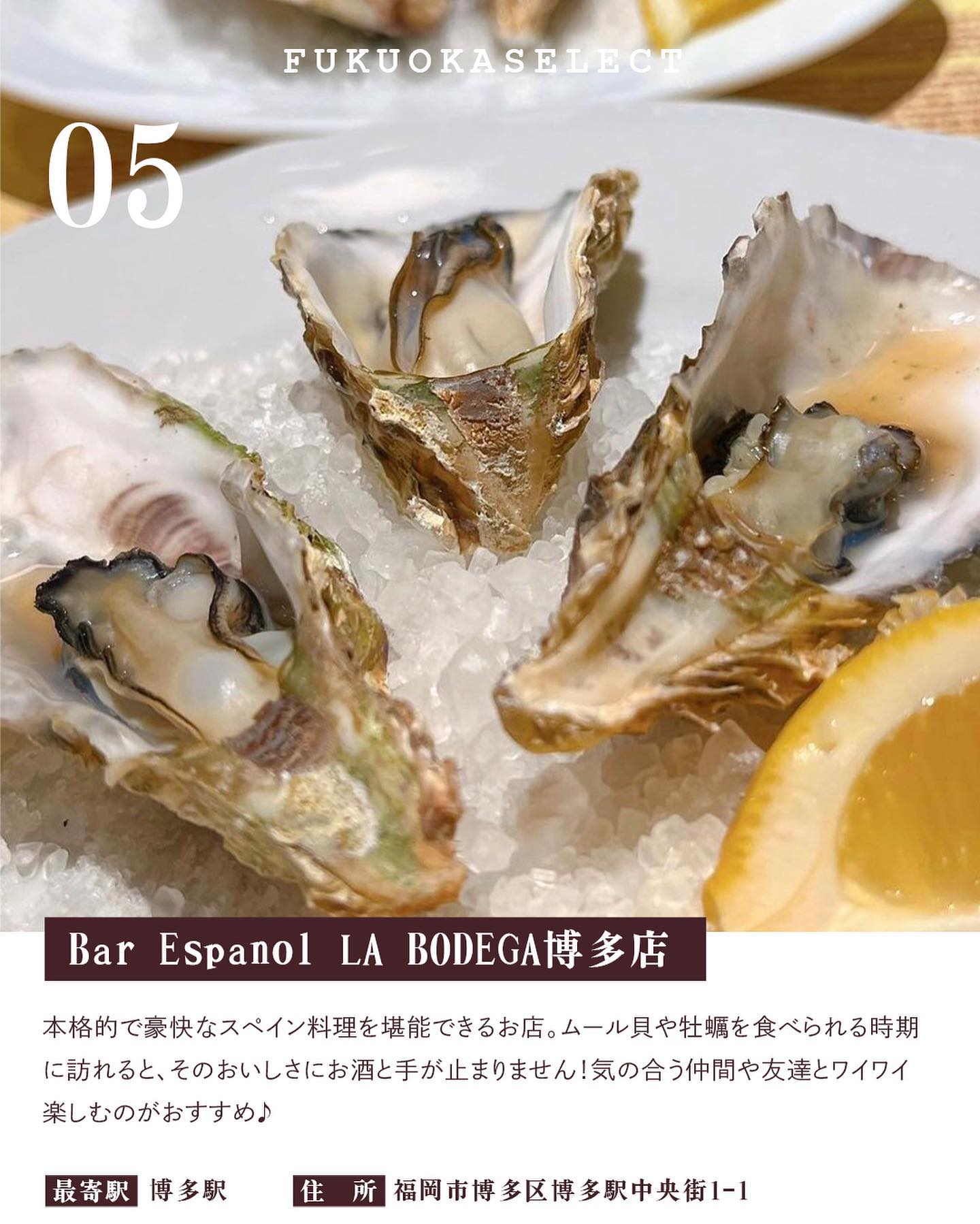 Bar Espanol LA BODEGA 博多店
