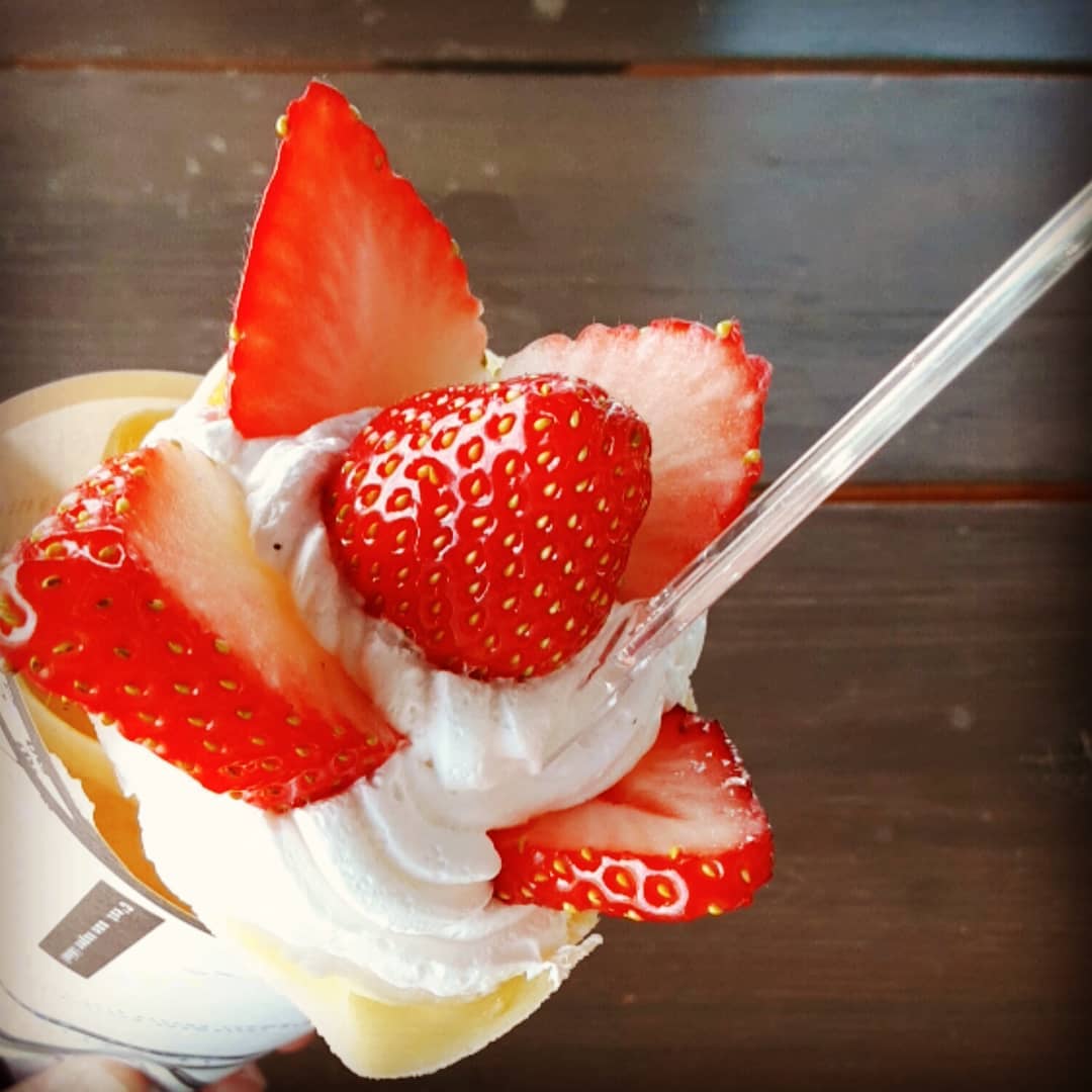 道の駅 サシバの里いちかい