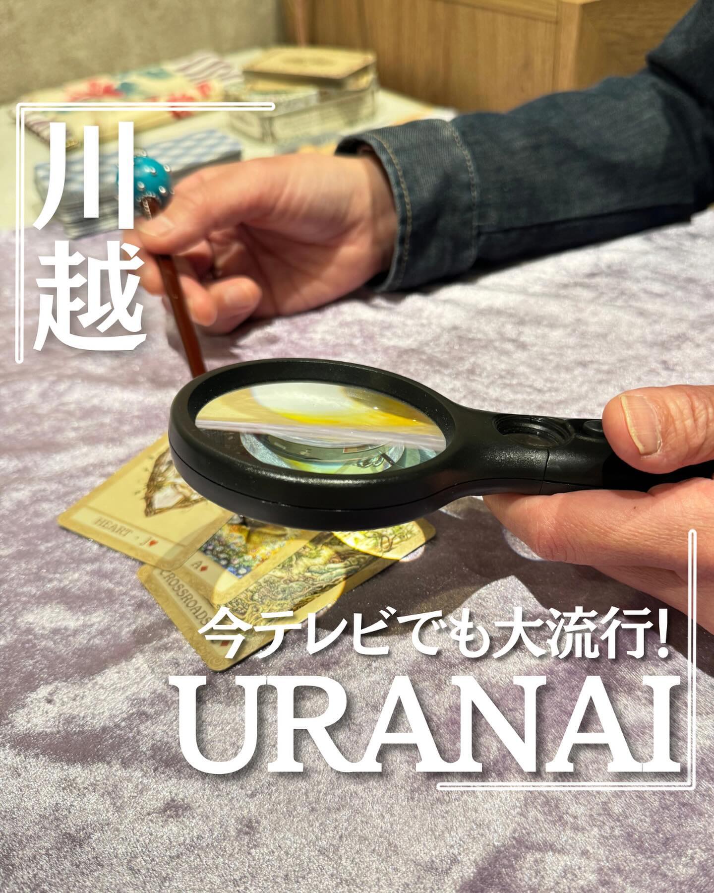 投稿画像 2