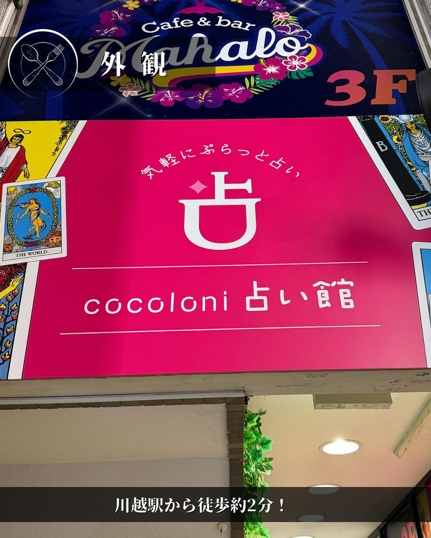投稿画像 7