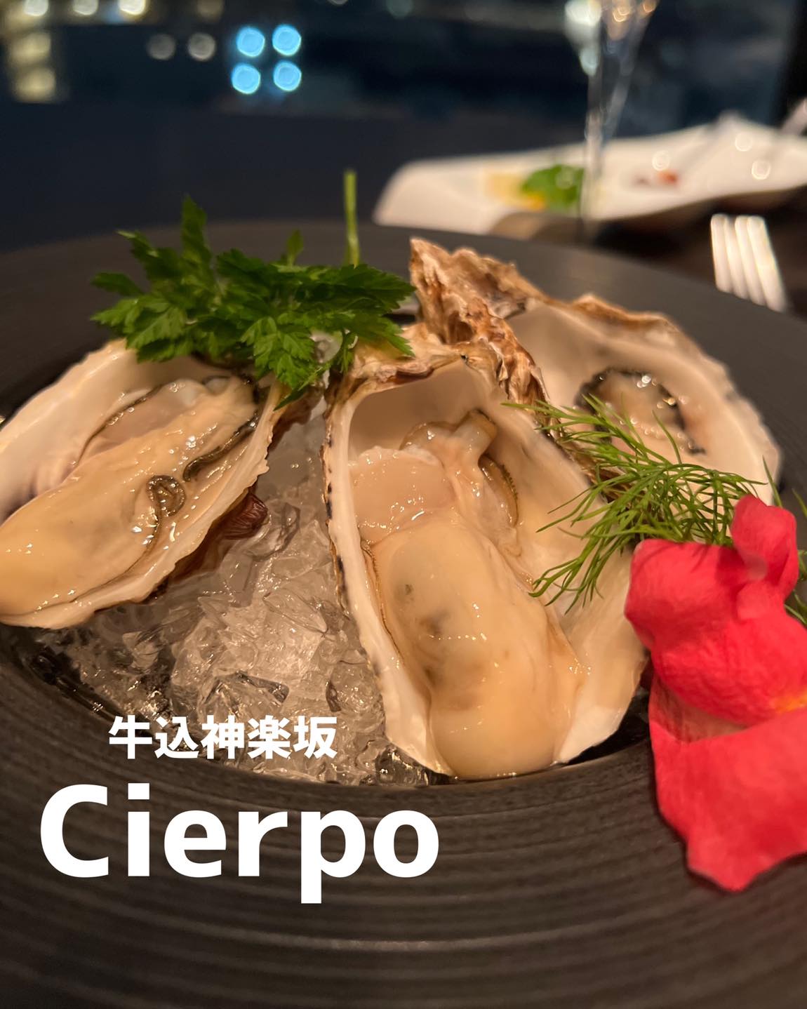 シェルポ (Cierpo)