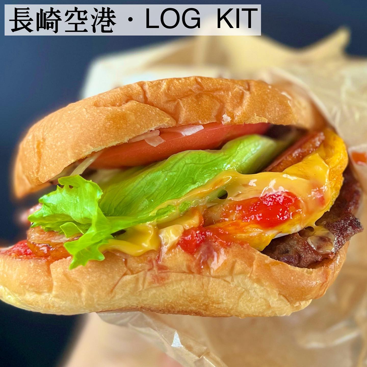 ログキット 本店