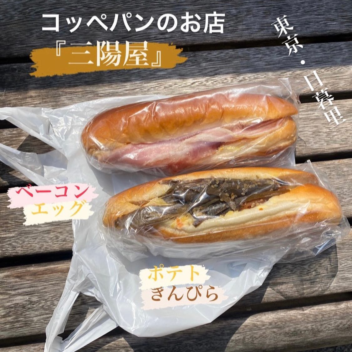 投稿画像 2