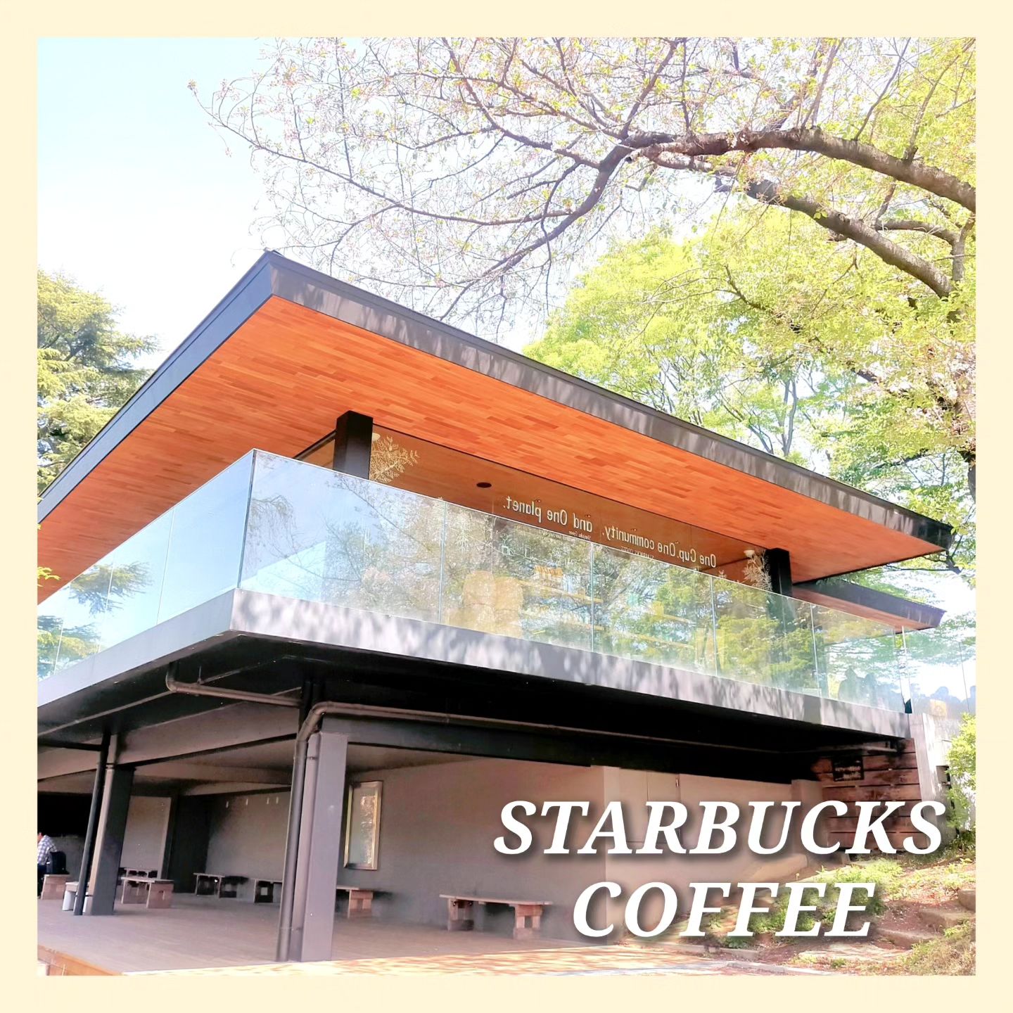 スターバックス コーヒー 新宿御苑店
