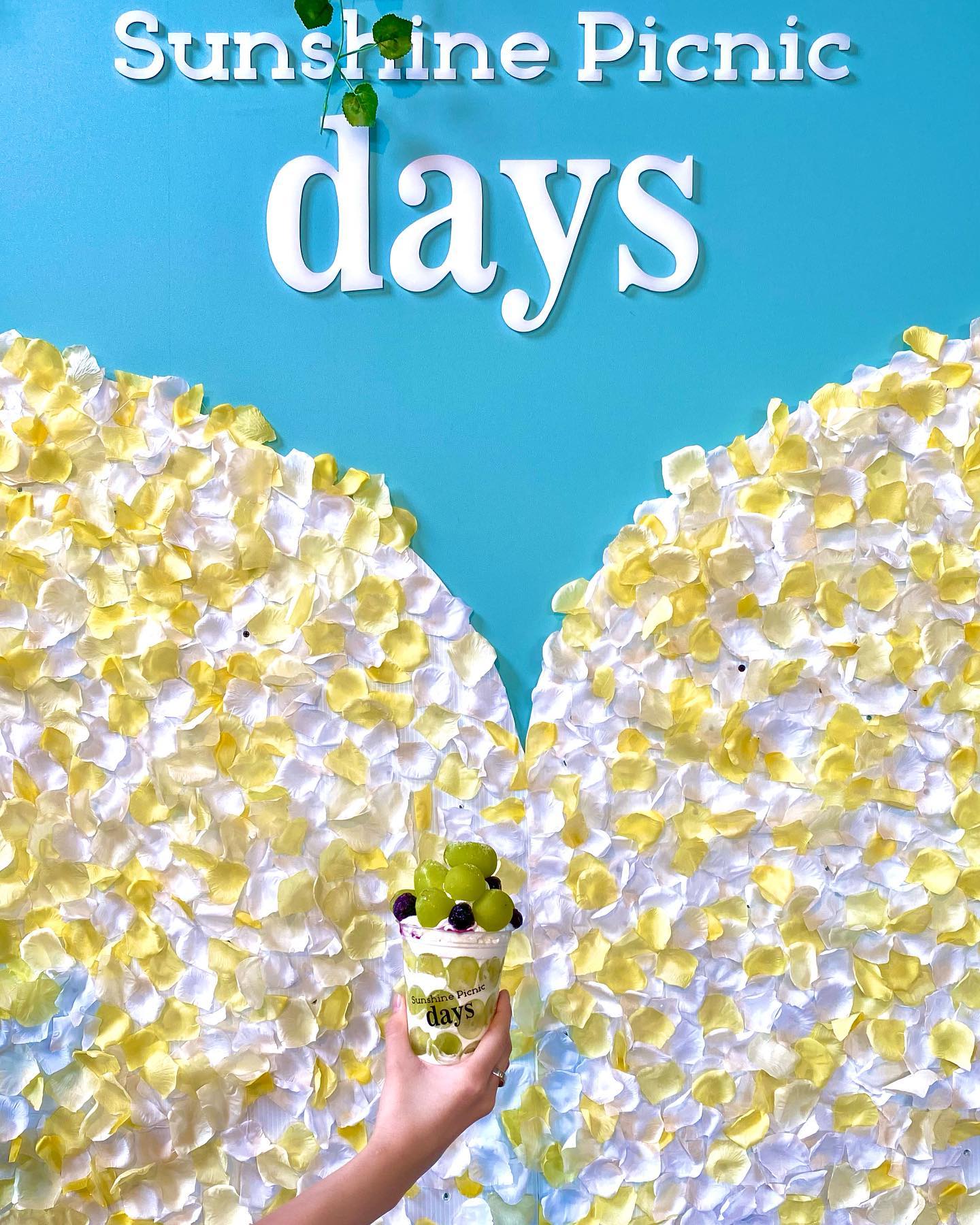 サンシャインピクニックデイズ