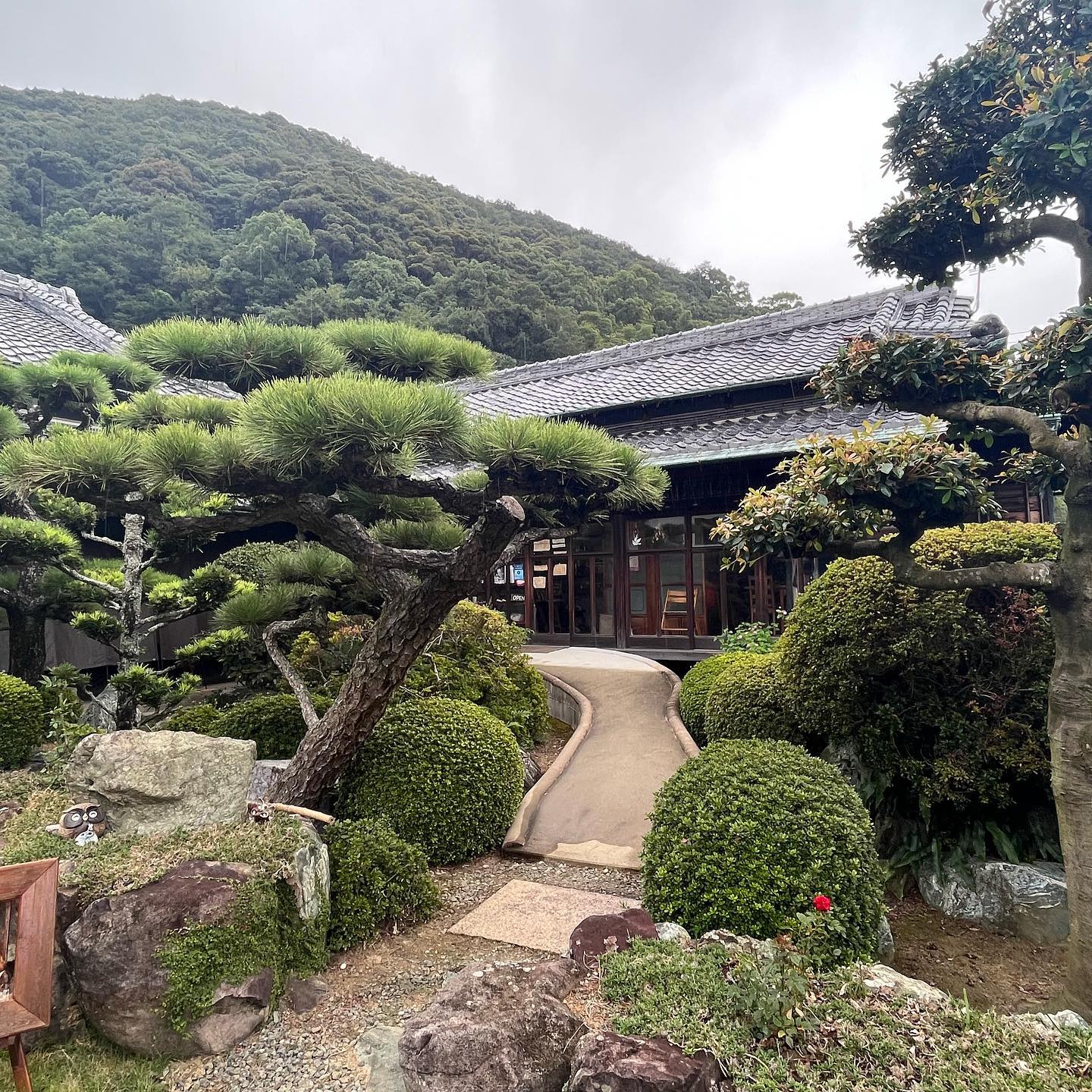投稿画像 10