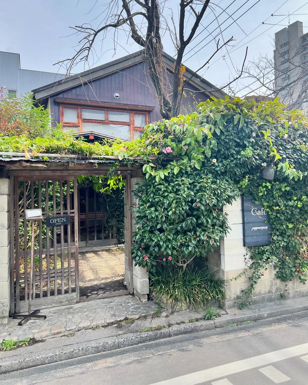 パッパライライ