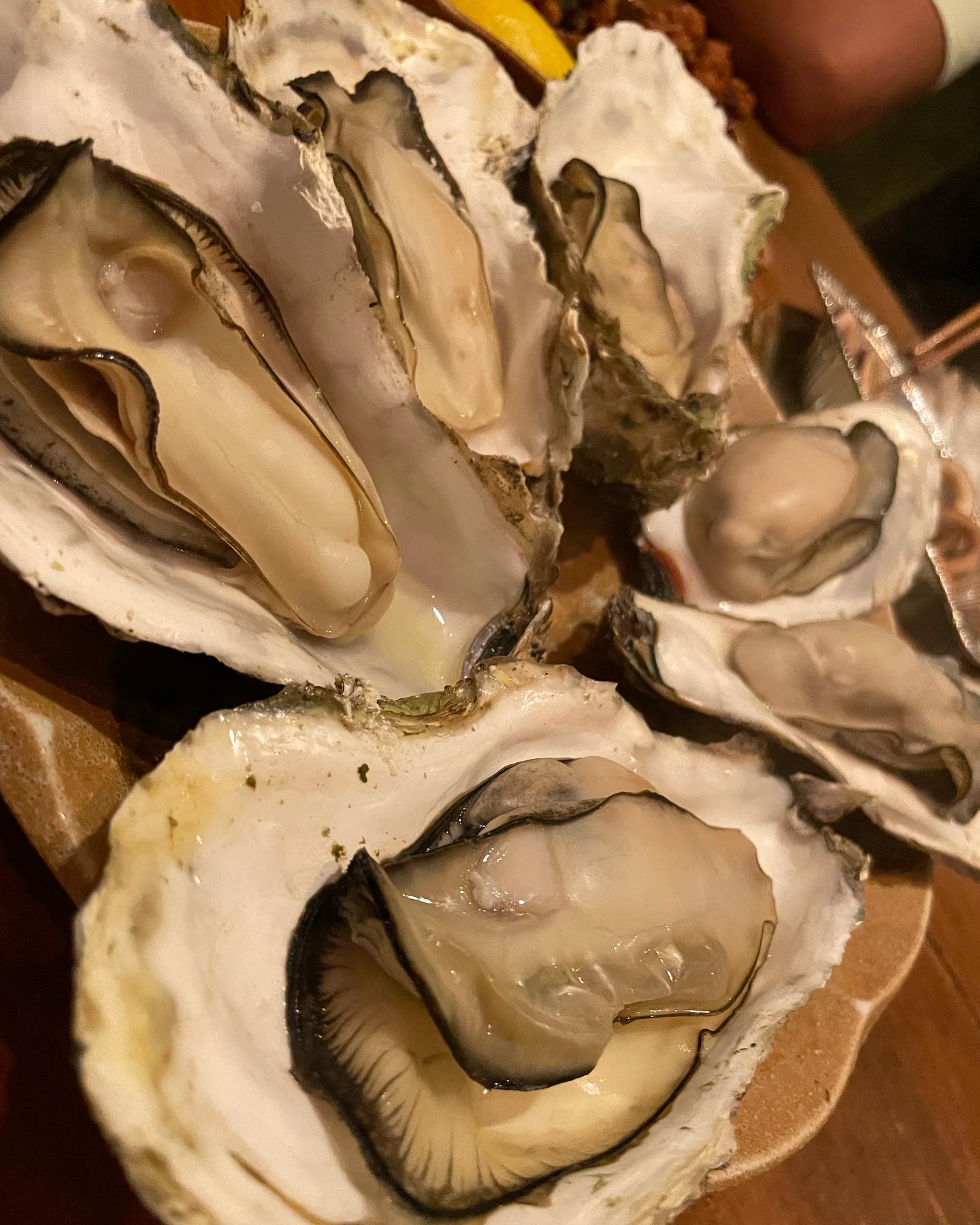 海鮮居酒屋 Ocean Grill noov