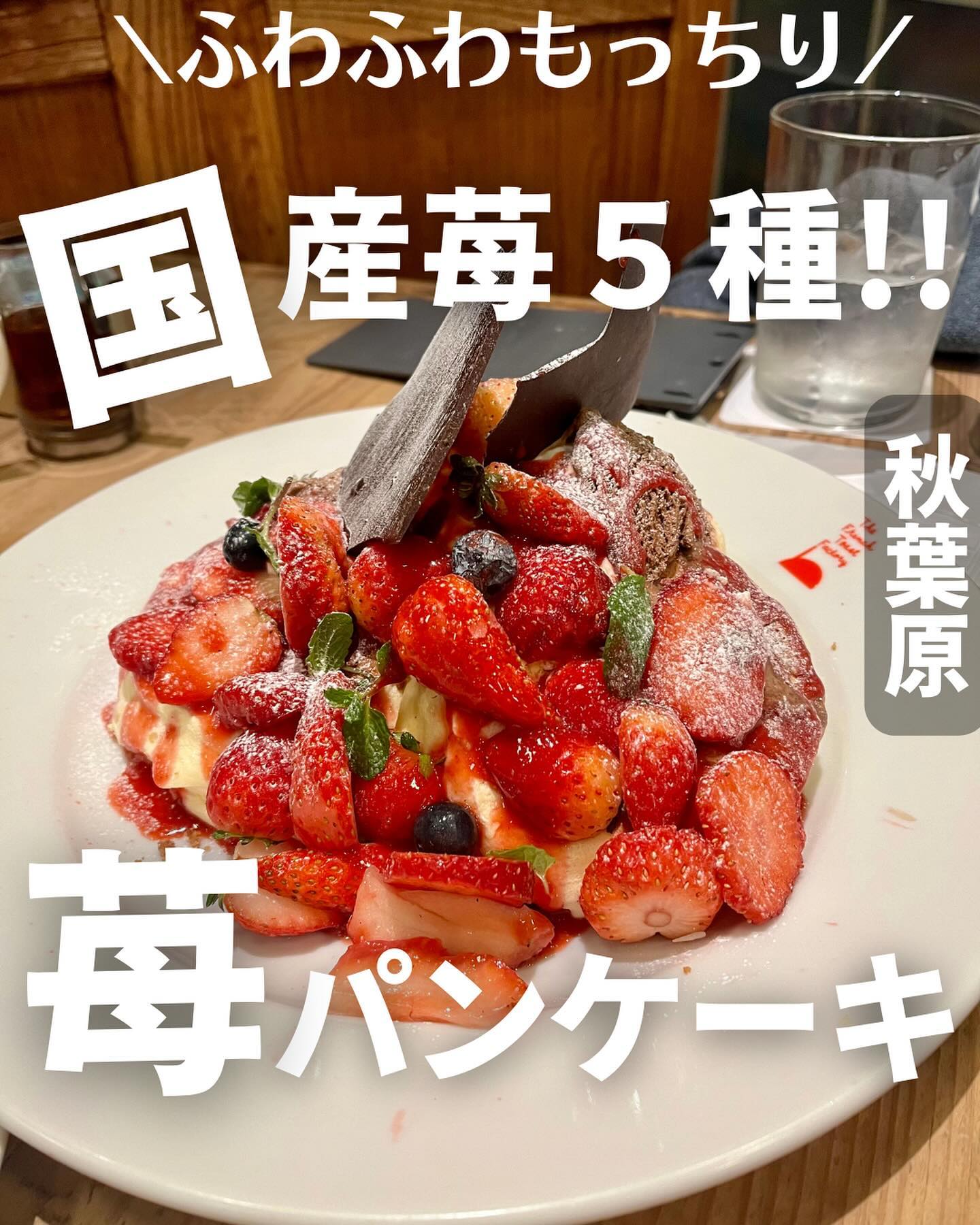 The French Toast Factory ヨドバシAkiba店