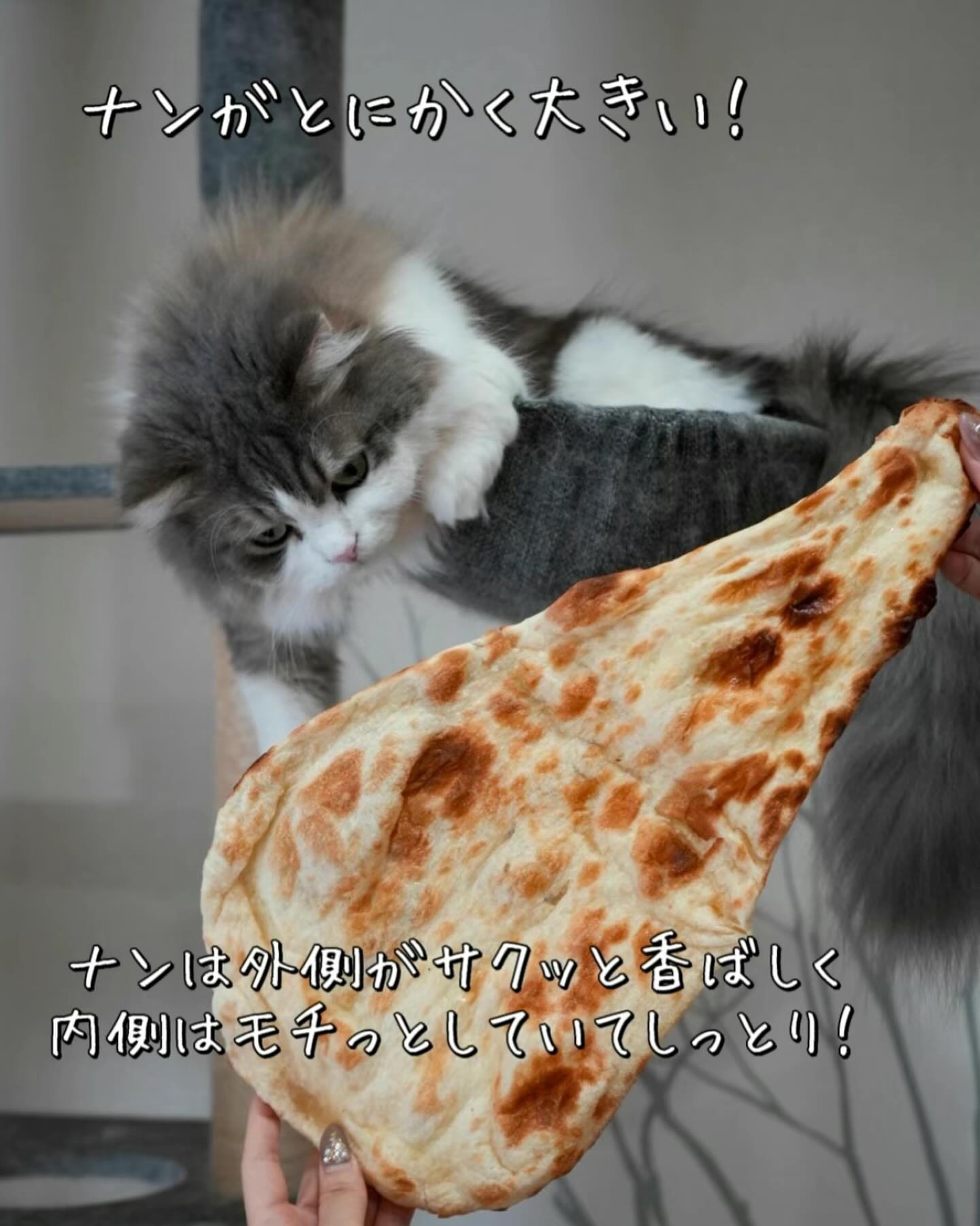 投稿画像 7