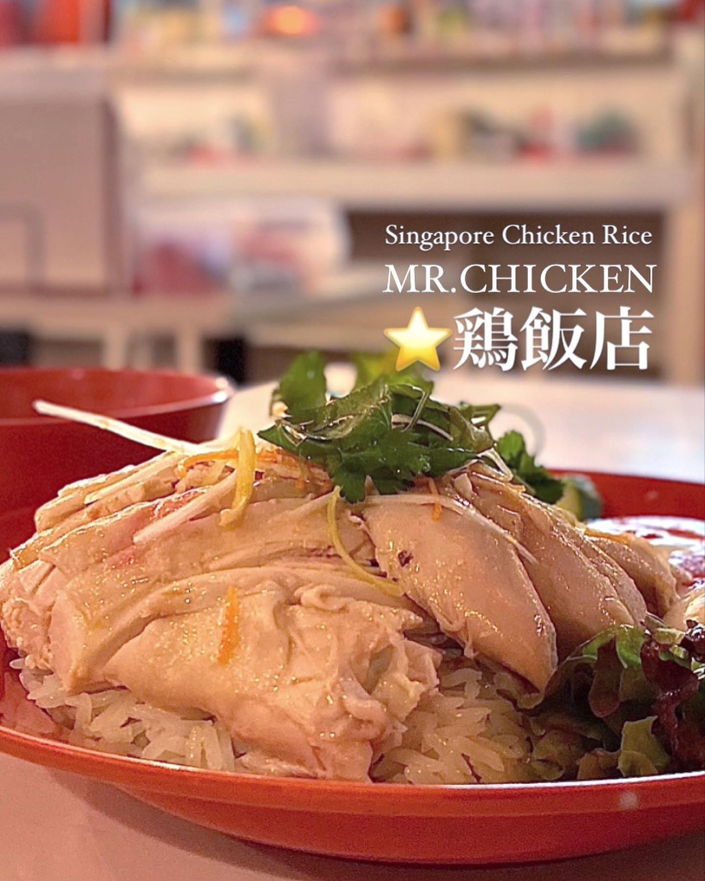 アジアン屋台食堂MR.CHICKEN鶏飯 五反田店