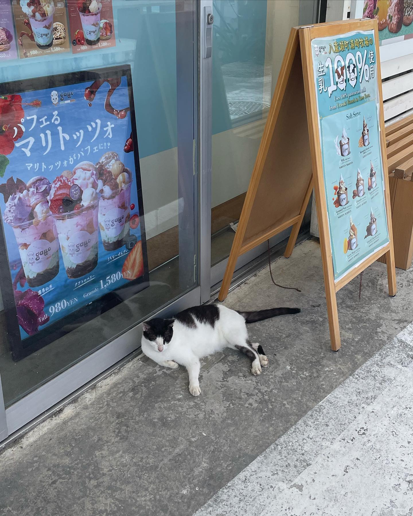 投稿画像 5
