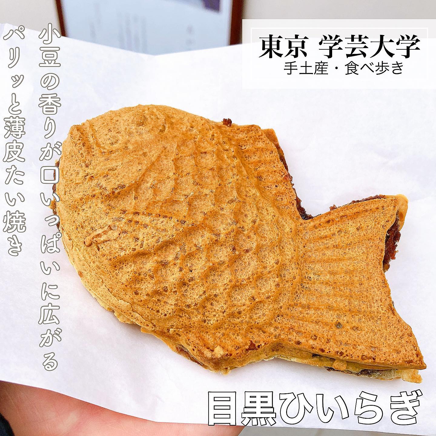 目黒ひいらぎ 学芸大学東口店