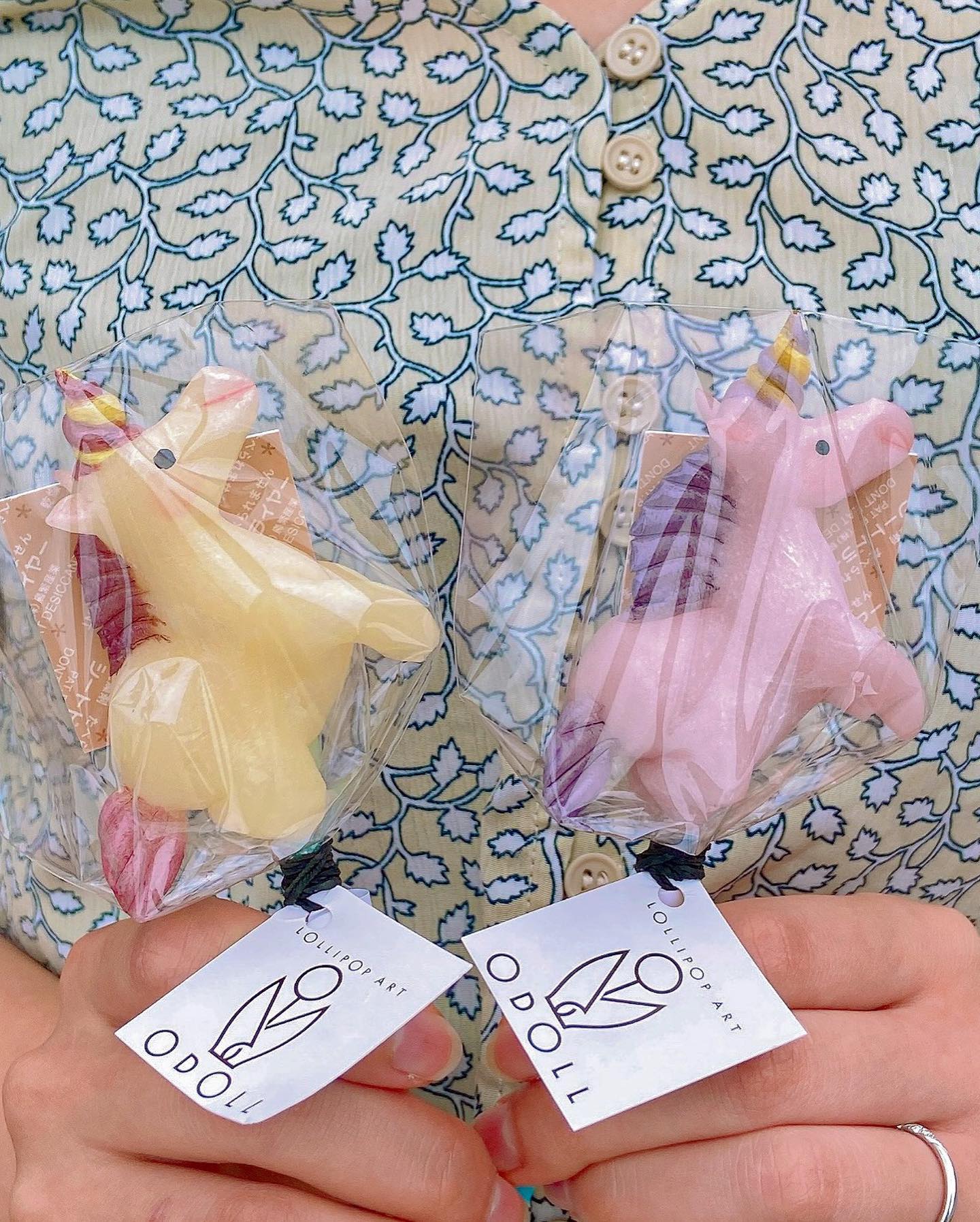 道の駅 あらエッサ