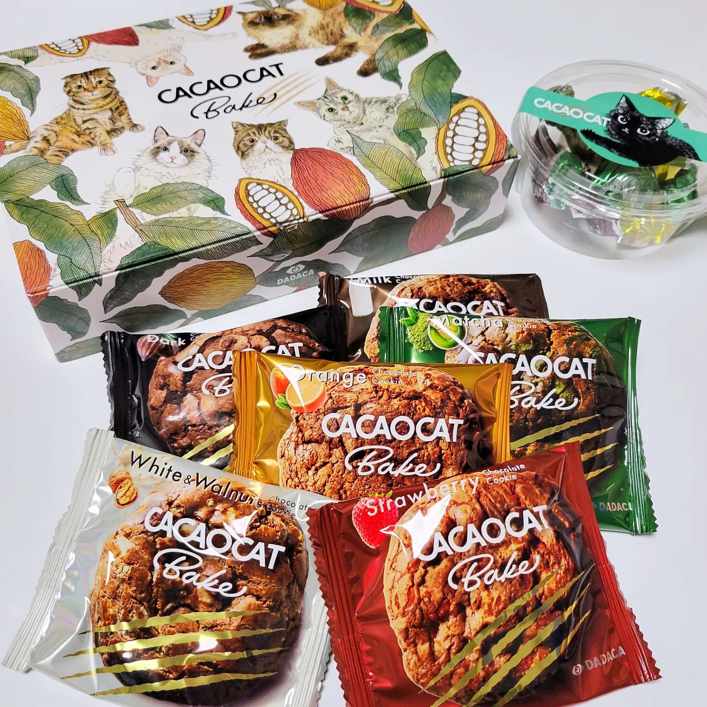 CACAOCAT POPUPSHOP 子別指導塾らぼ海老名店