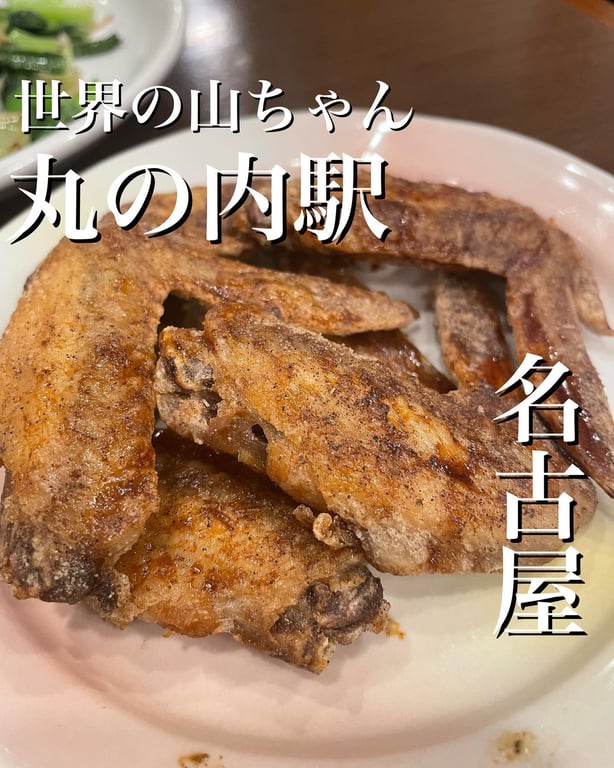 世界の山ちゃん本丸店