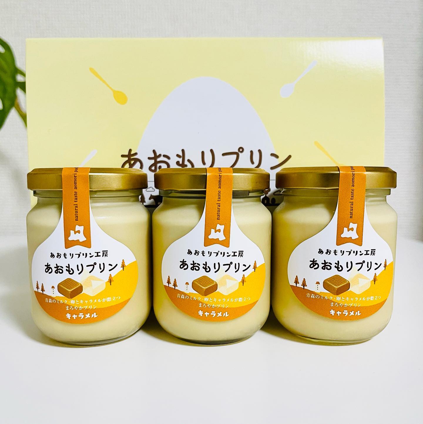 Nature -ナチュール