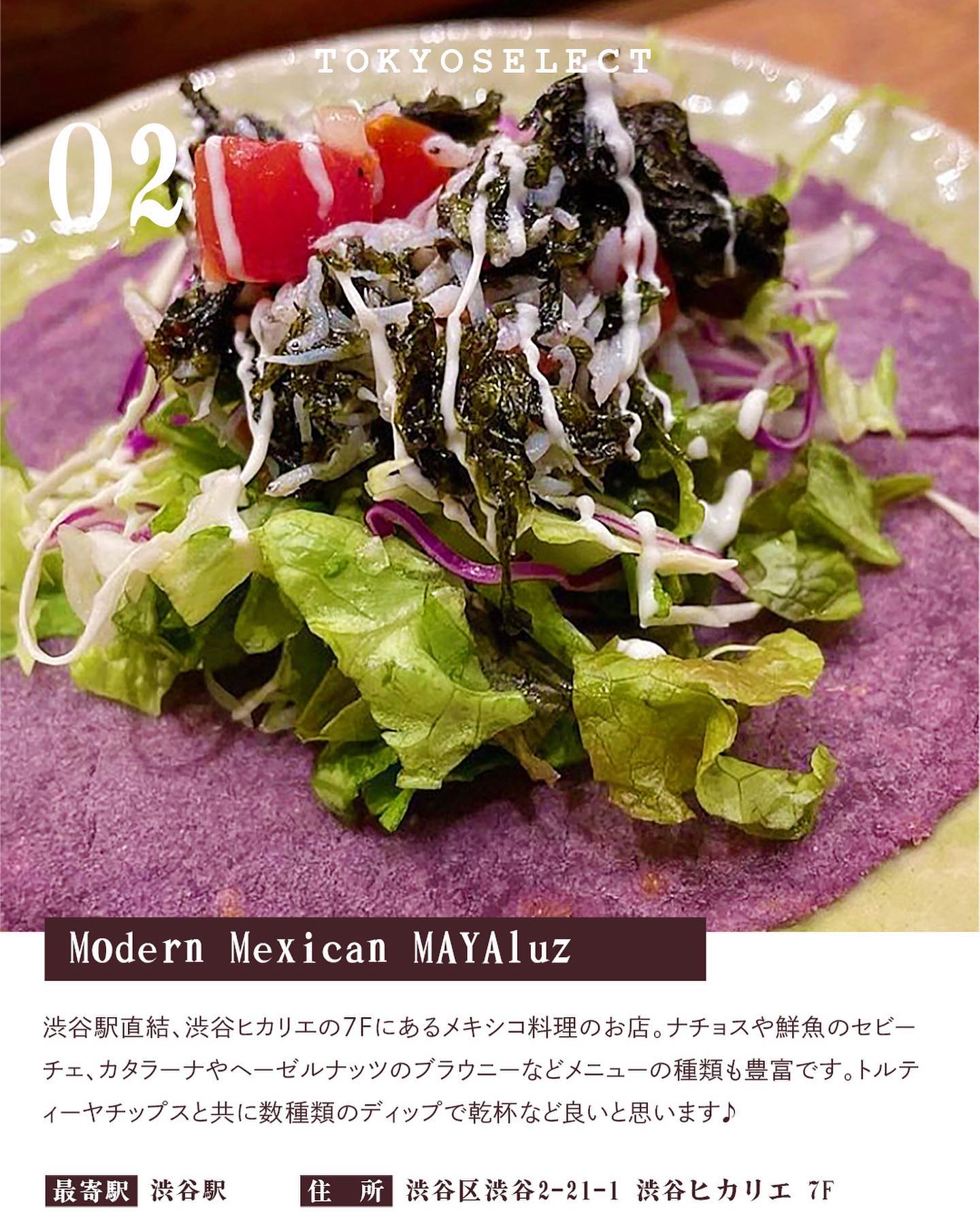 Modern Mexican MAYAluz