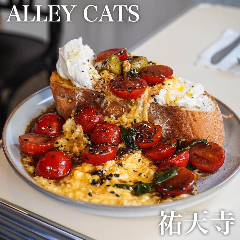 ALLEY CATS YUTENJI