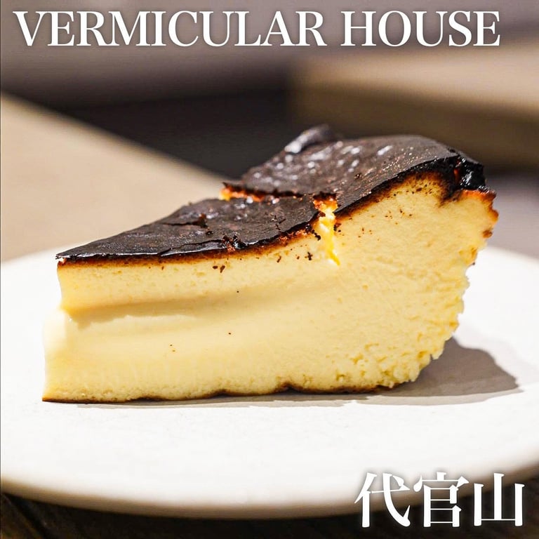 VERMICULAR HOUSE