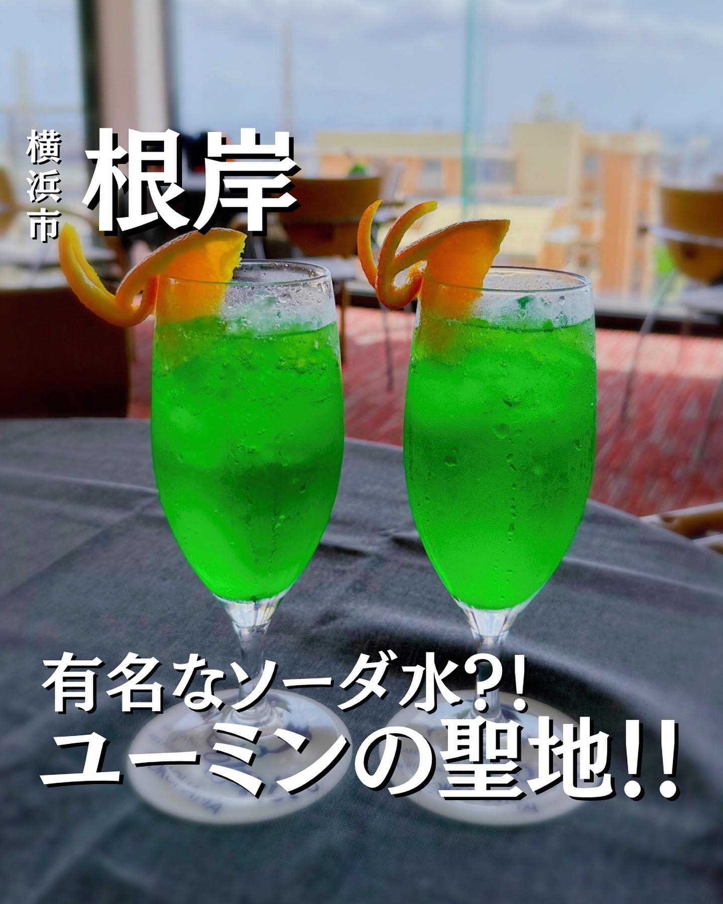 カフェ&レストラン ドルフィン