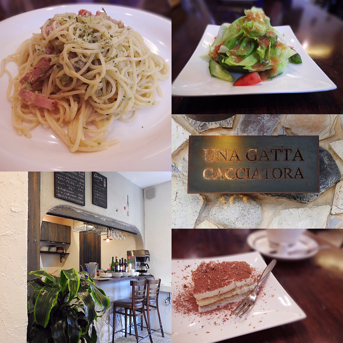 ウナガッタカチャトラ/UNA GATTA CACCIATORA