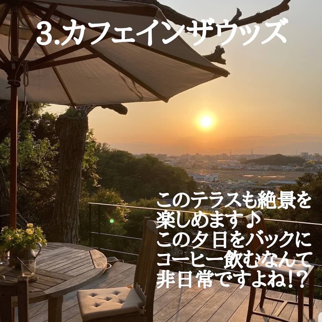 カフェ イン ザ ウッズ