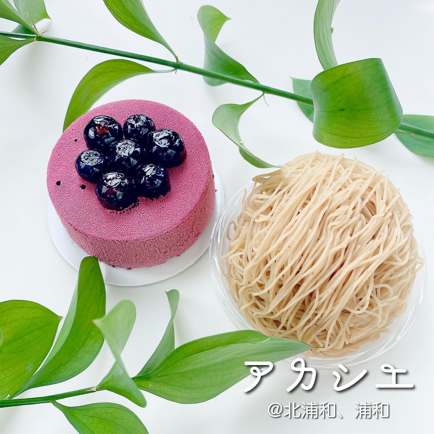 アカシエ 北浦和本店