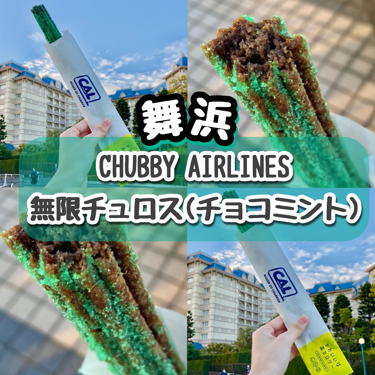CHUBBY AIRLINES