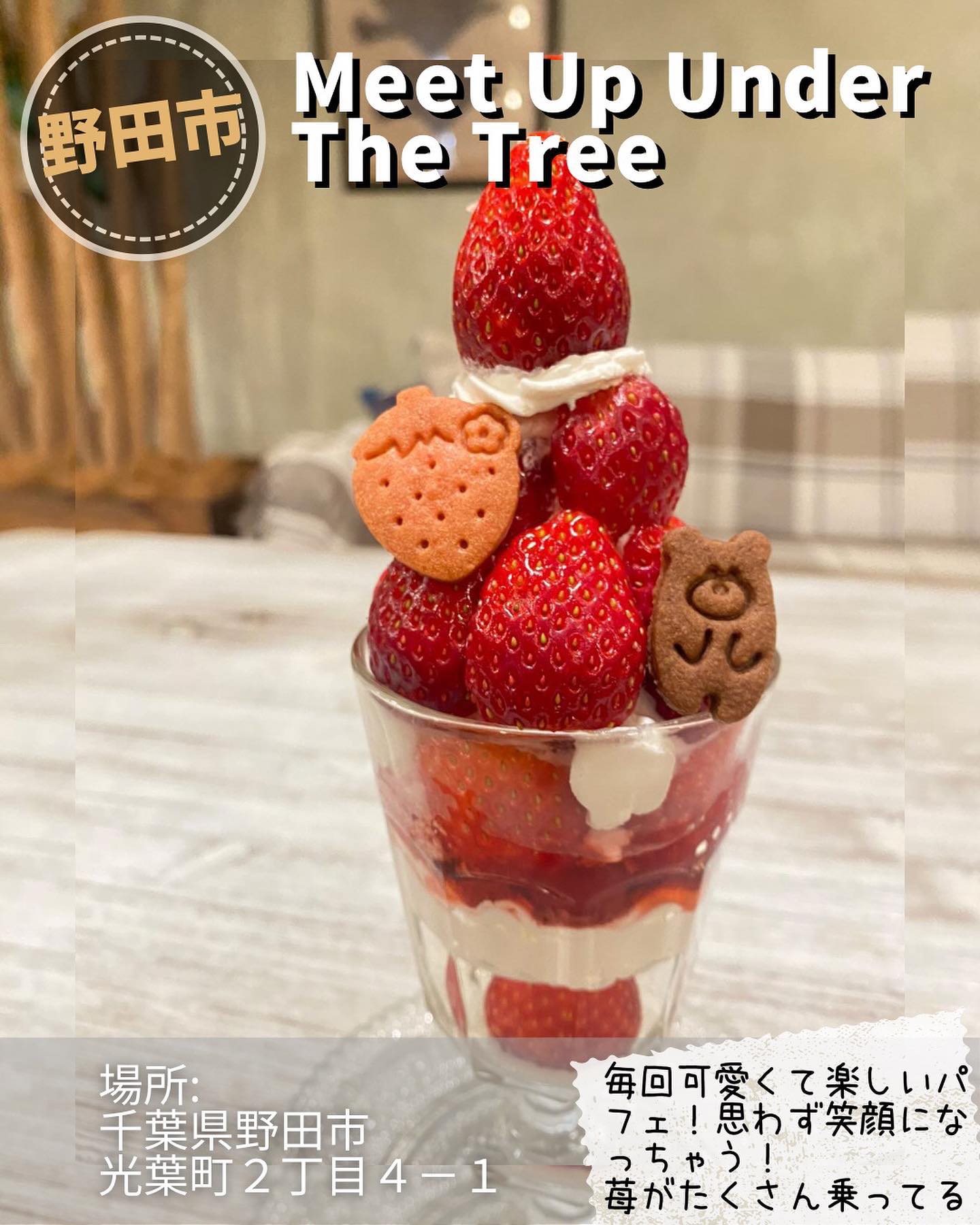 ミートアップアンダーザツリー