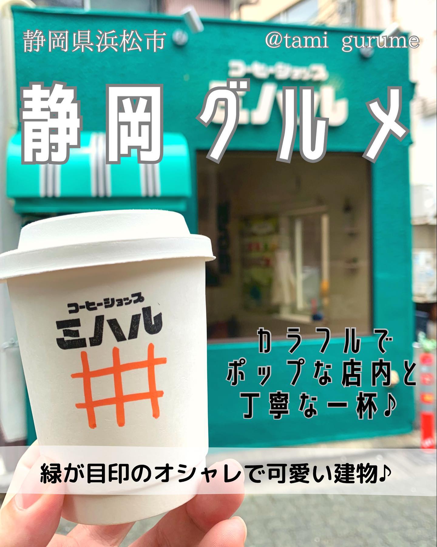 投稿画像 1