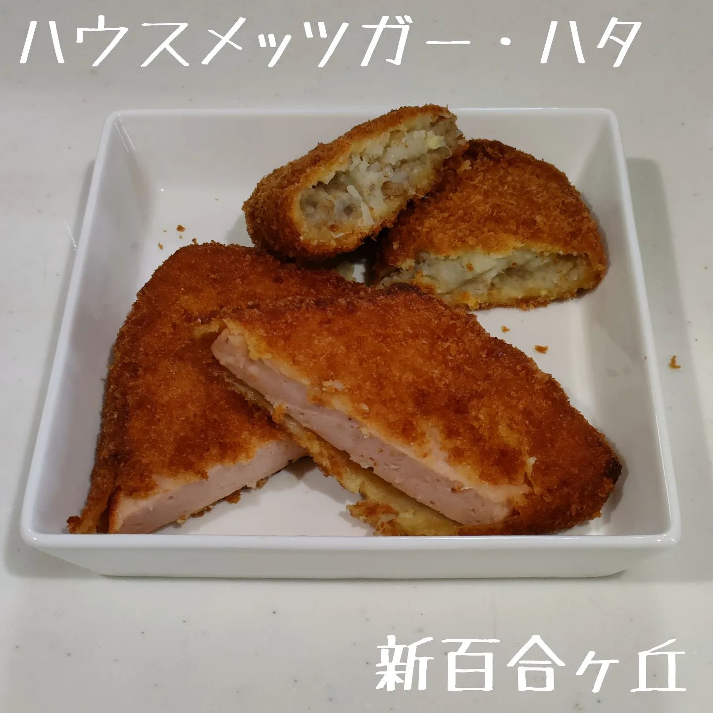 ハウスメッツガー・ハタ