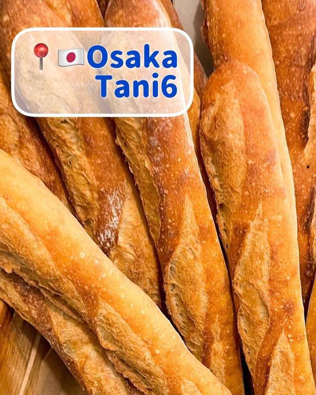 タニロクベーカリー パネーナ