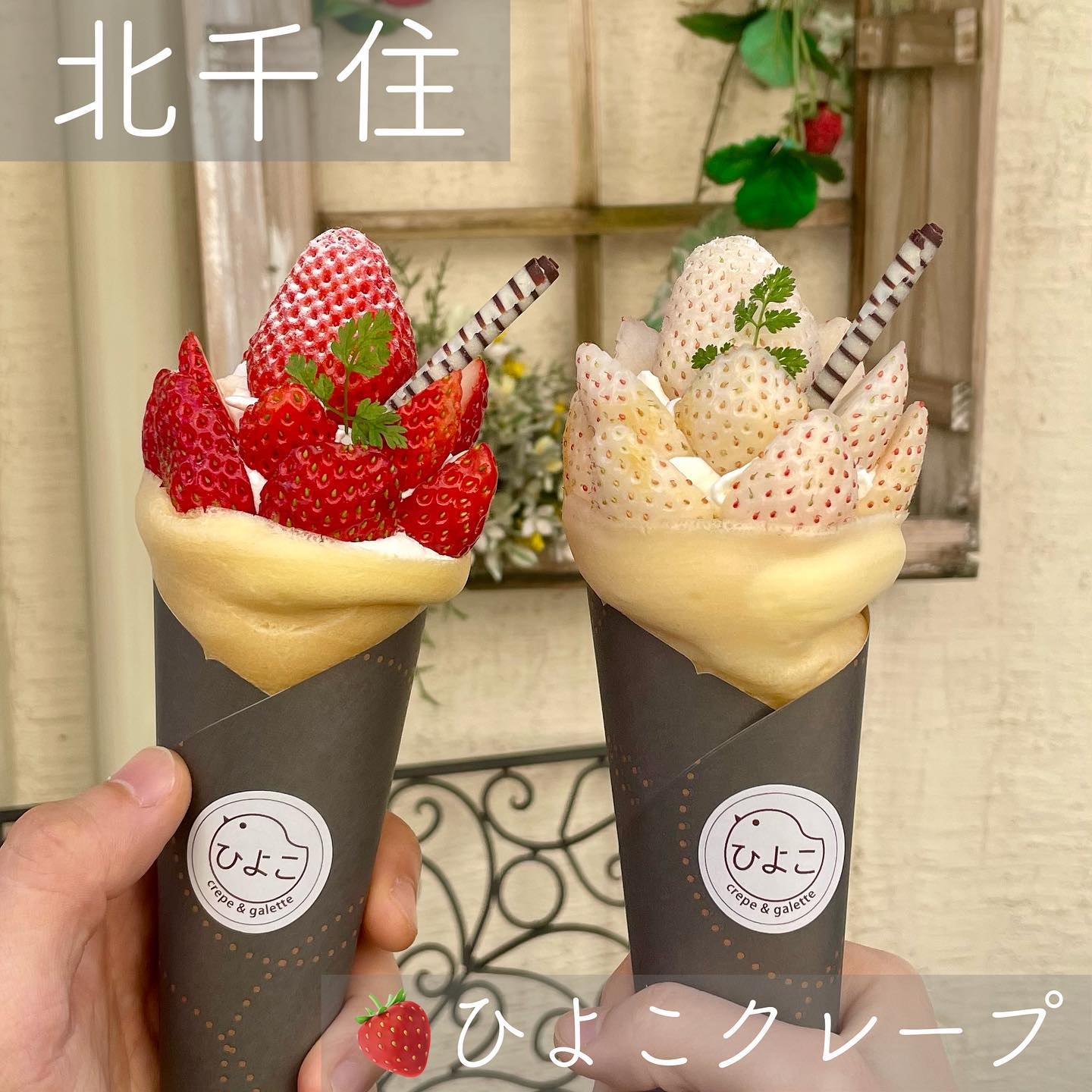 ひよこクレープ&ガレット