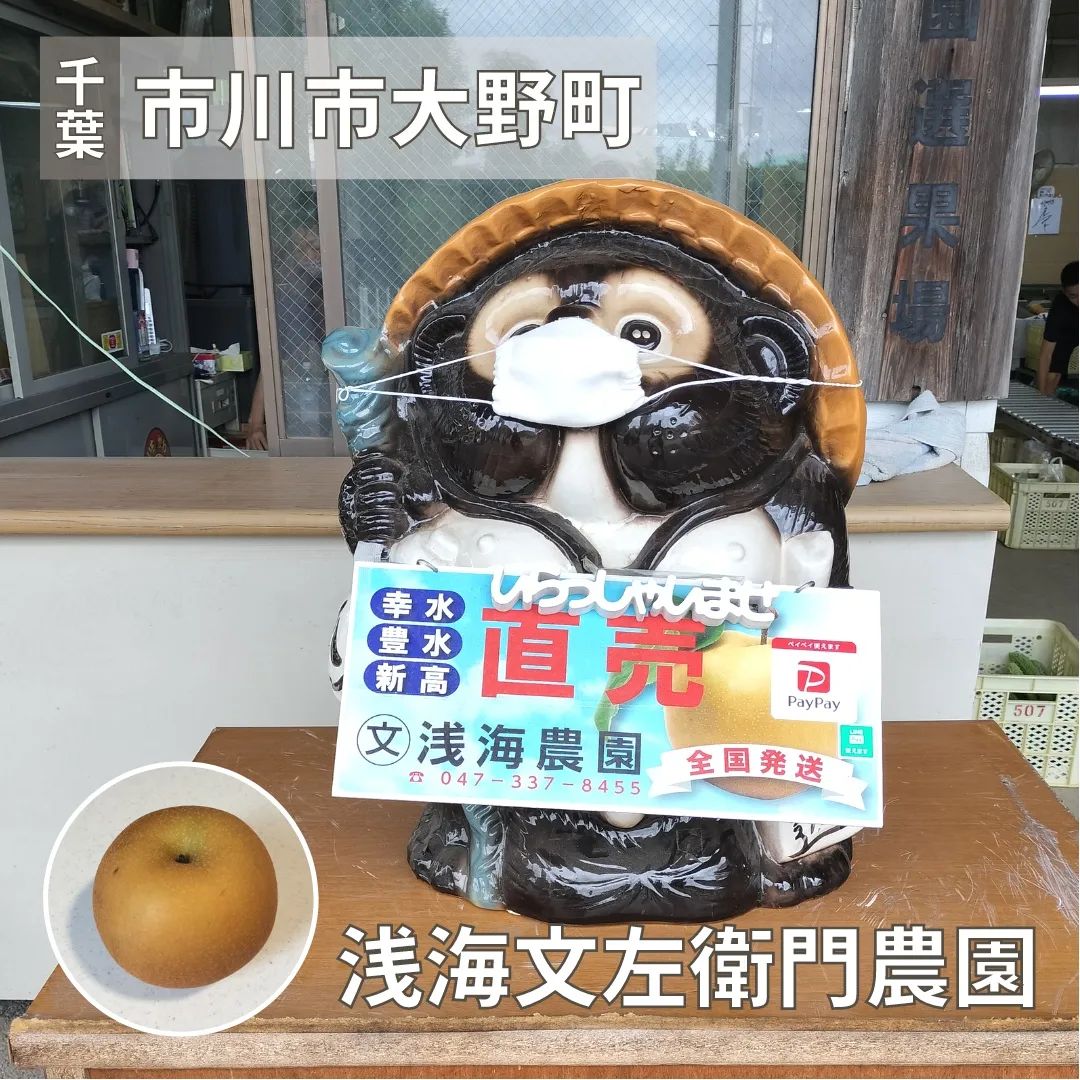 浅海文左衛門農園