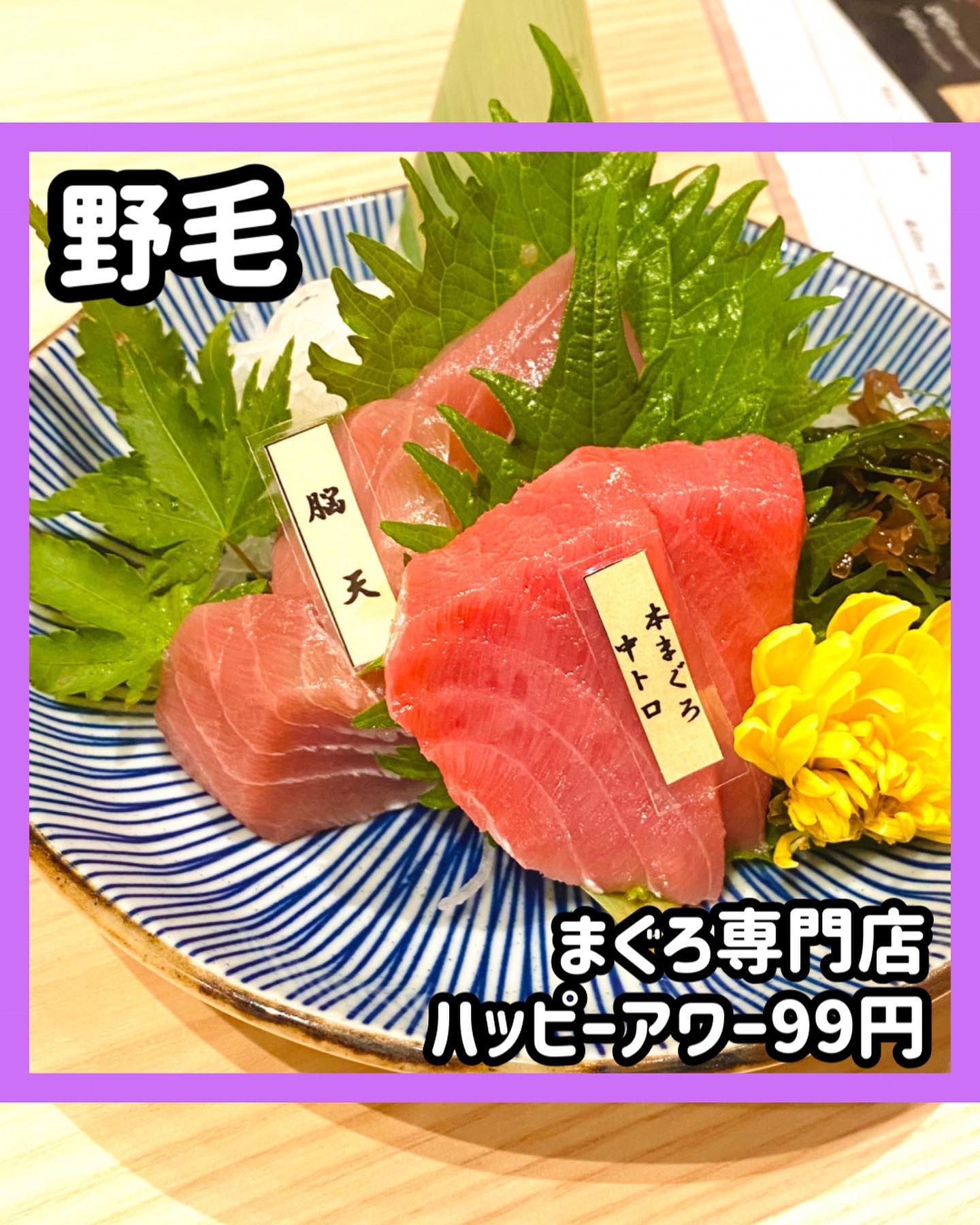 三崎まぐろ専門店 Tunaがる~ツナガル~ 桜木町野毛