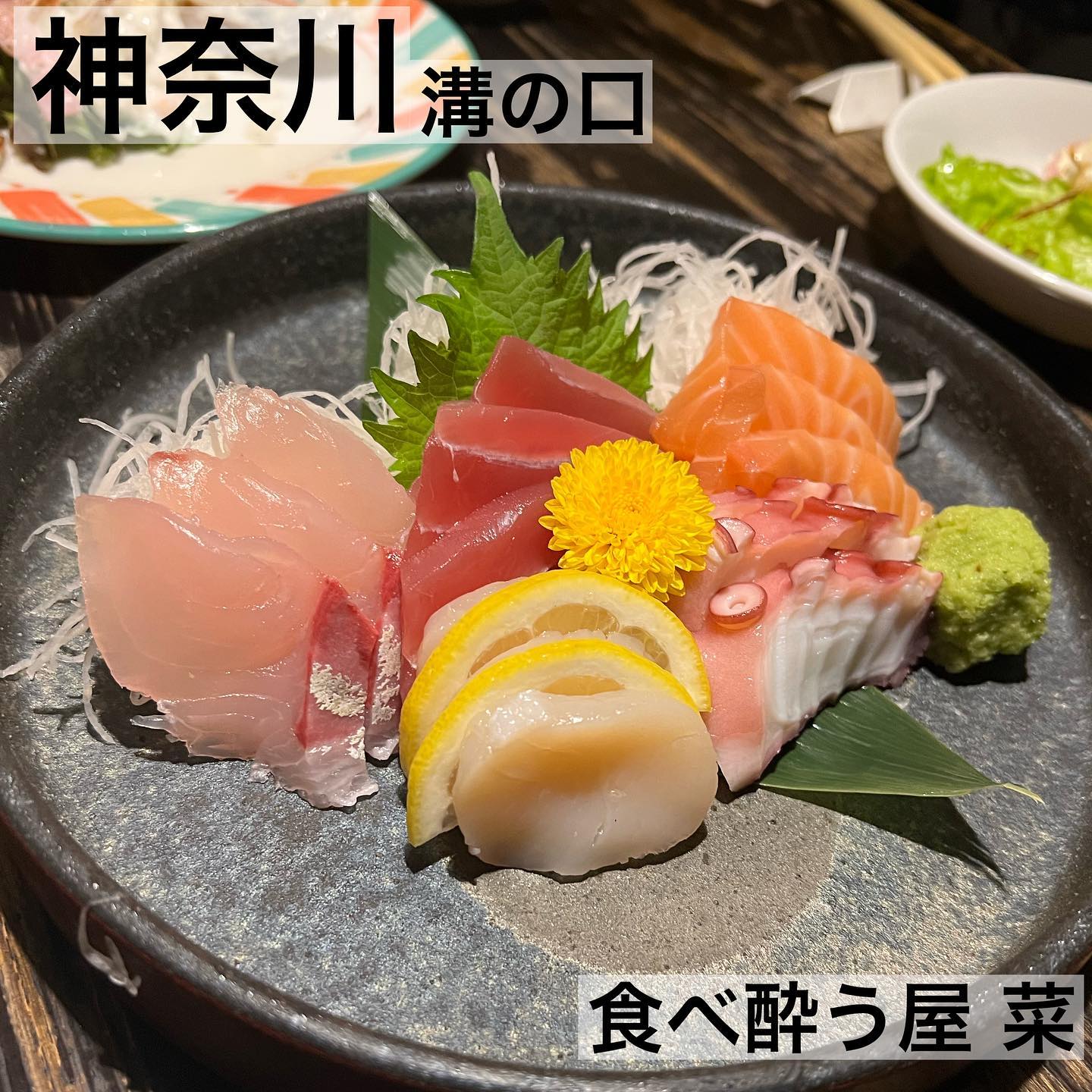 食べ酔う屋 菜 溝の口 個室