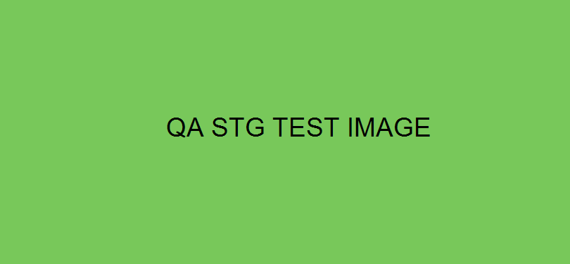 QA STG <script>alert(1)</script> test post