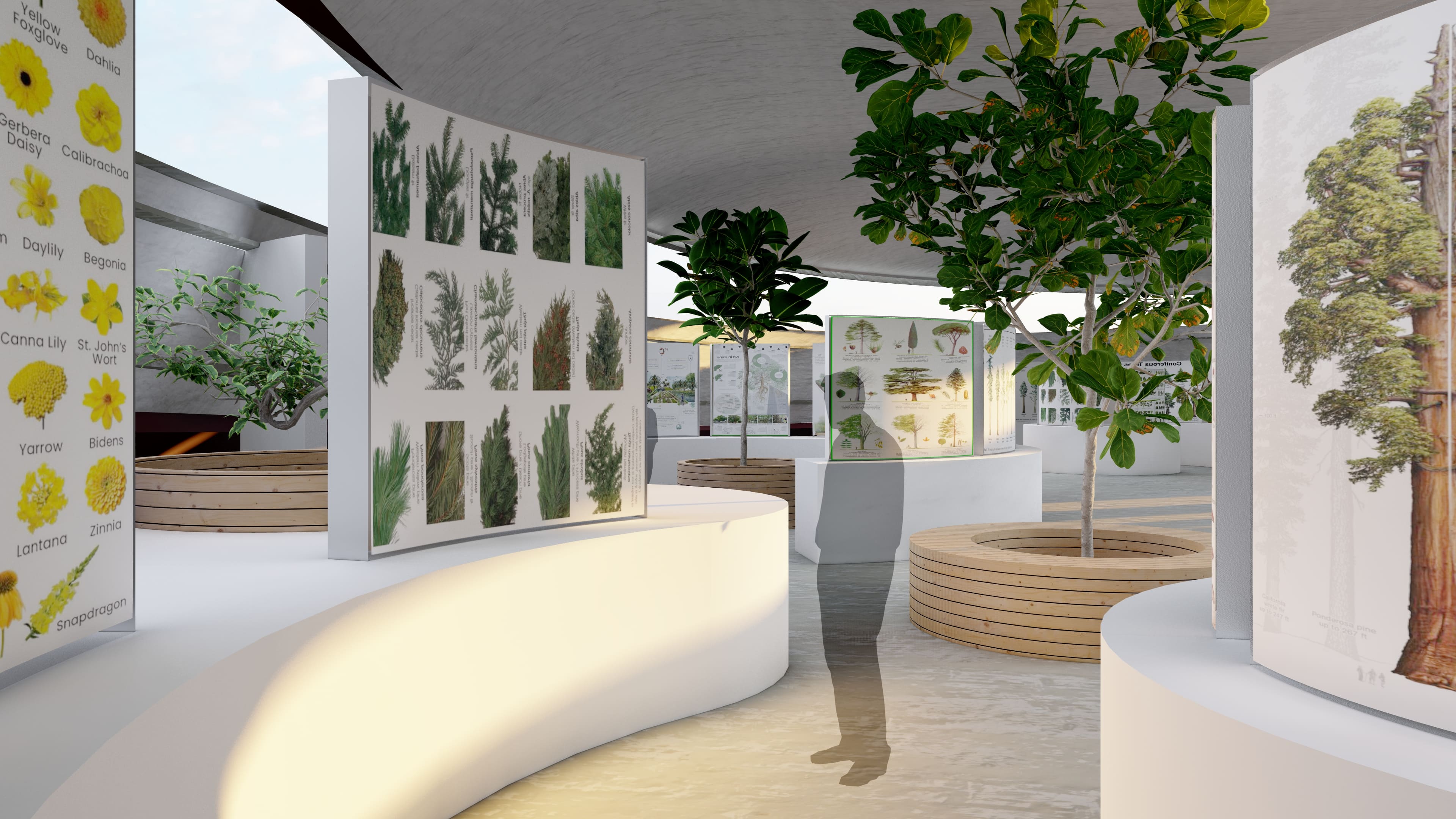 Gallery image 5