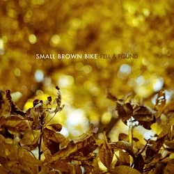 Small Brown Bike - Fell & Found (2011, No Idea Records)