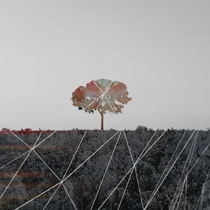 Yarborough - Grand Decay (2024, DIY)