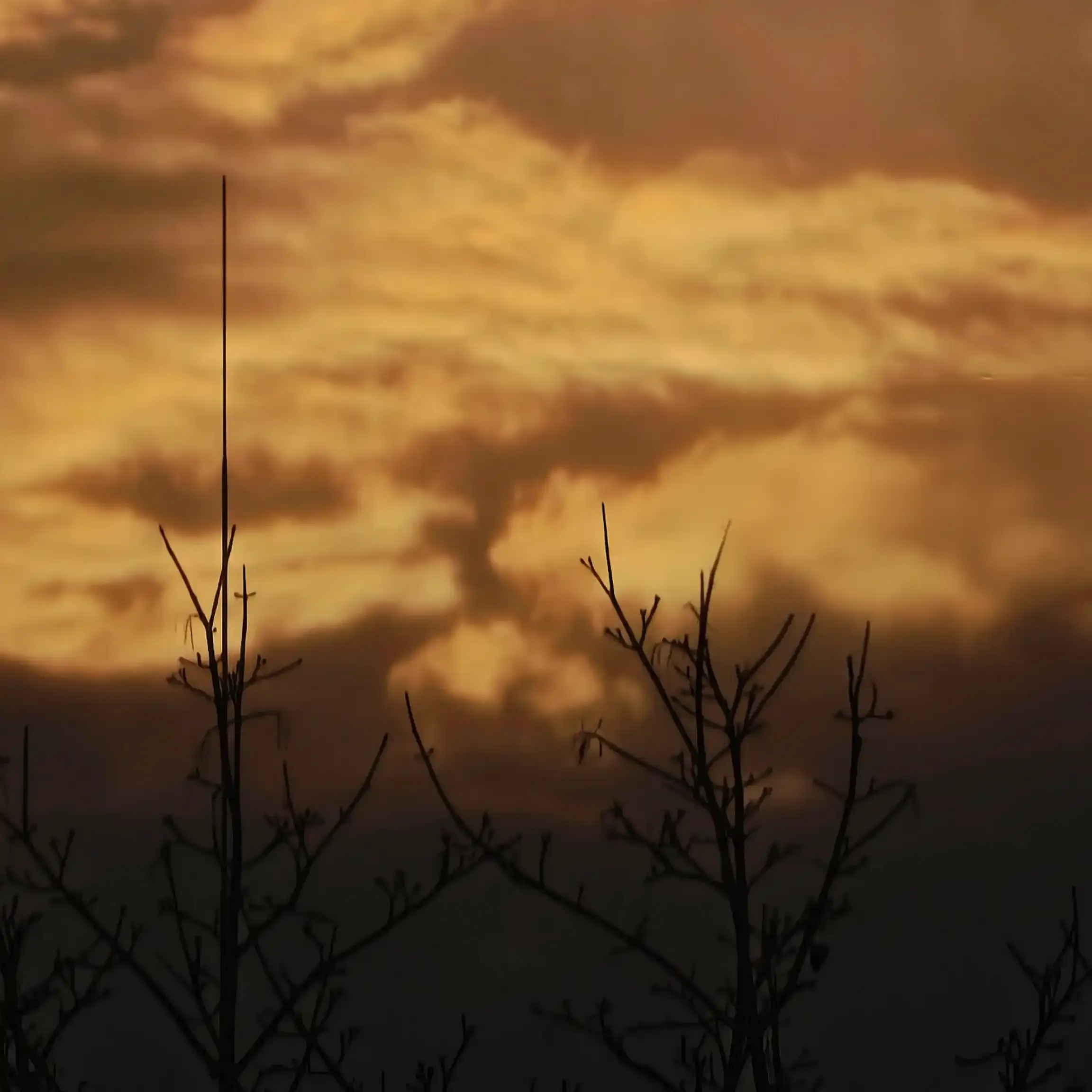 Profile picture of Nowy