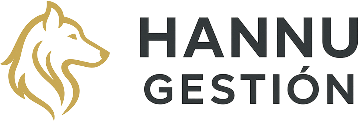 HannuGestión