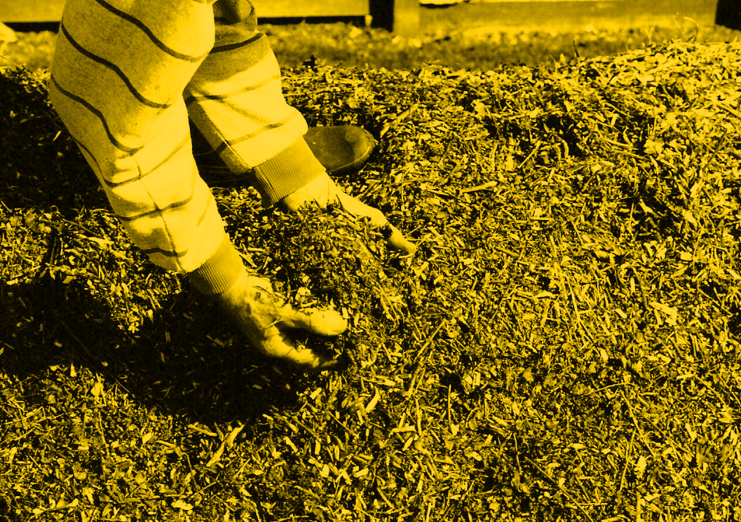 Close u view of hands reaching into a pile of wood chippings