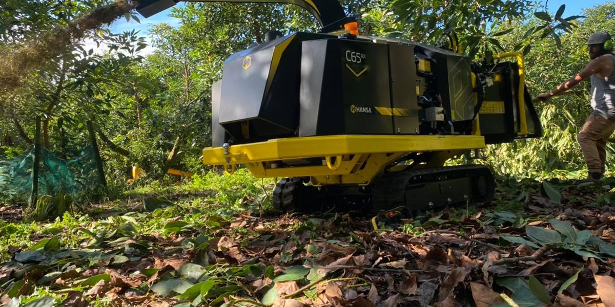 C65 wood chipper grinding tree branches in the middle of a forest