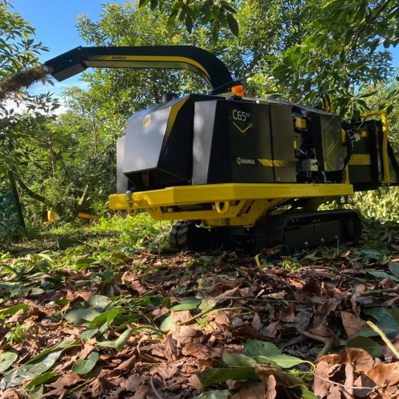 C65 wood chipper grinding tree branches in the middle of a forest