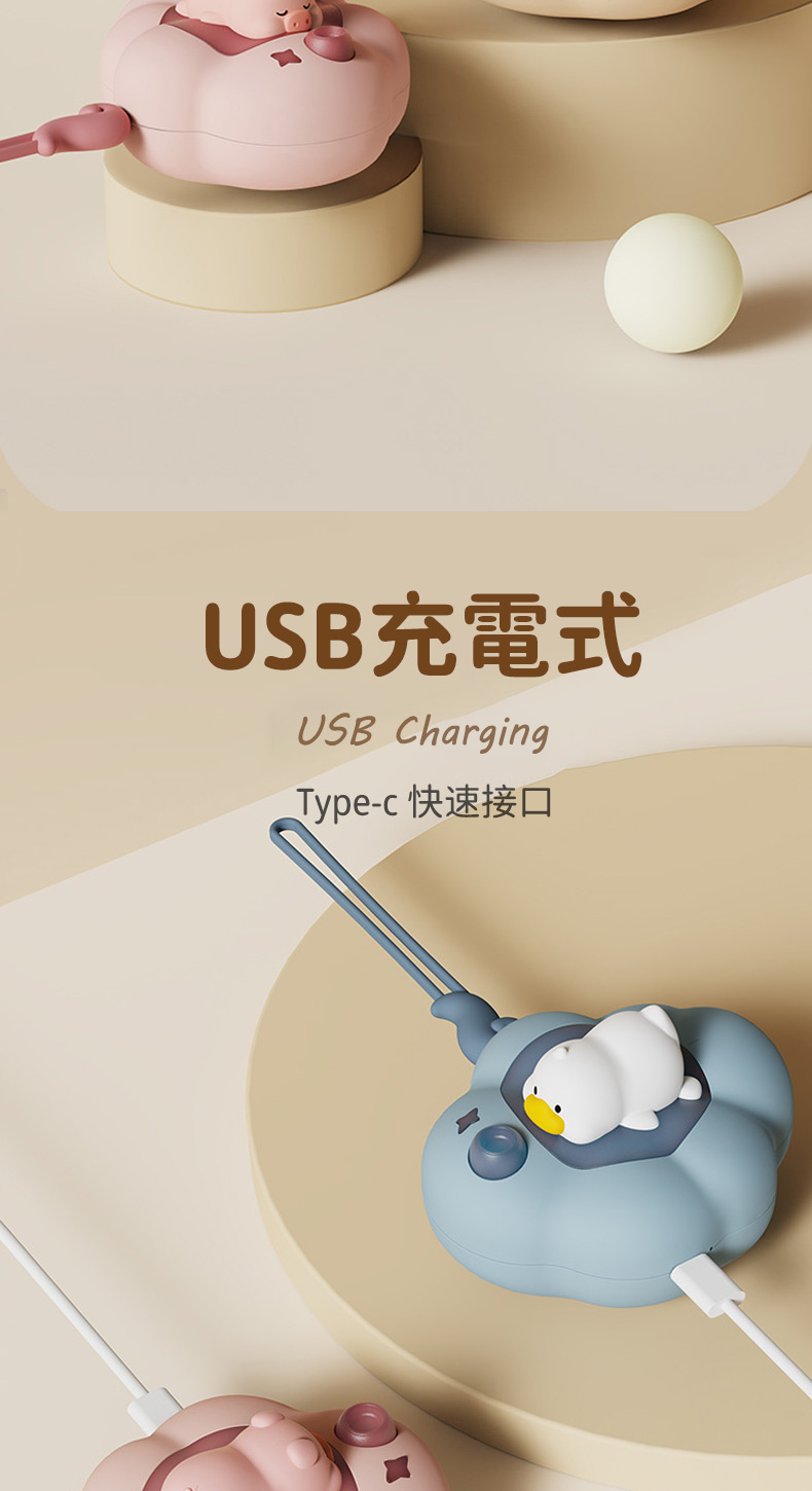 USB充電式USB ChargingType-c 快速接口