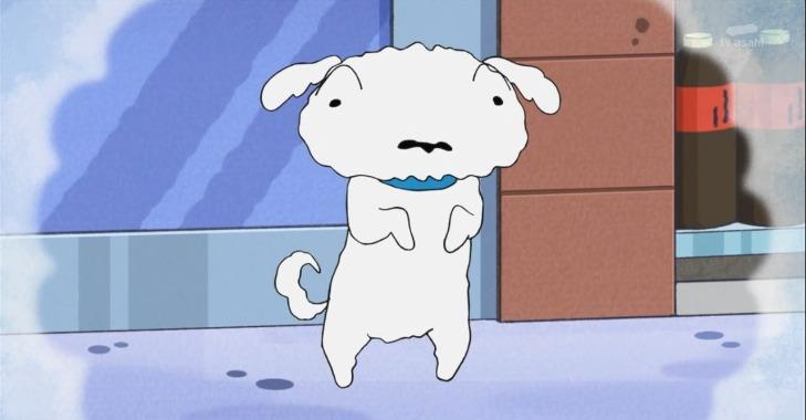 Khi nhà Shin được phá để xây nhà mới, mẹ shin đã gửi Bạch Tuyết ở đâu?