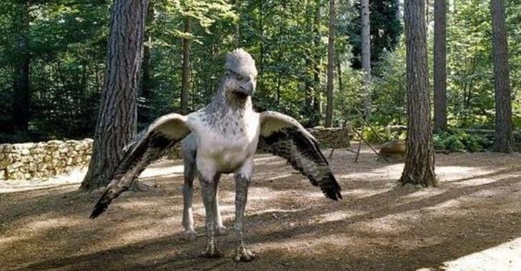Bạn muốn tìm hiểu về loài sinh vật nào sau đây?